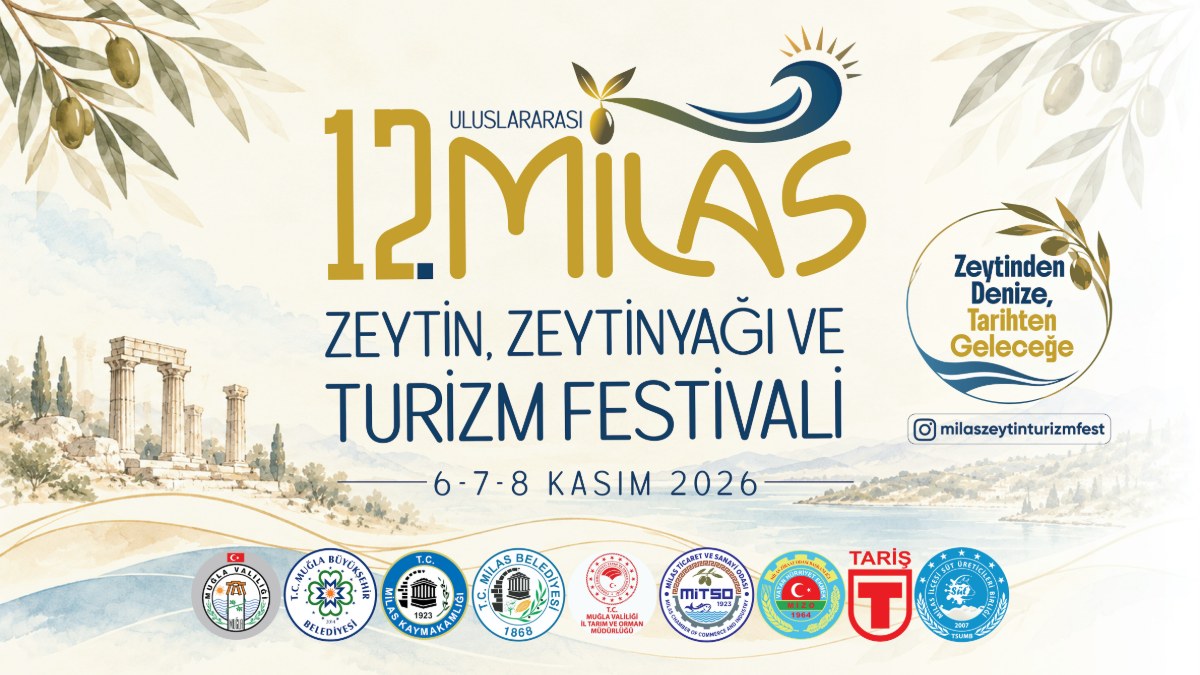 Milas'ta zeytinin hikayesi yeniden başlıyor
